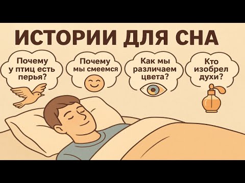 Ответы на вопросы, которые не дают уснуть | Энциклопедия для сна