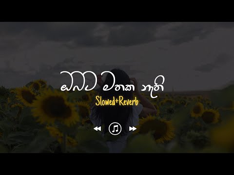 Mathaka Mawee - ඔබට මතක නැති (Slowed+Reverb)