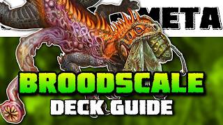 Broodscale Combo Deck Tech - Introduction to Modern