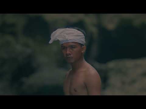 Where the Wild Frangipanis Grow