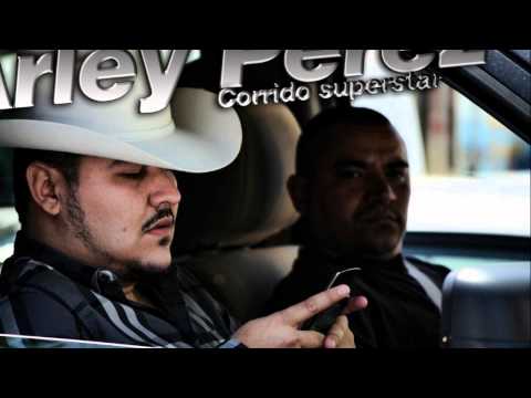 download lagu mp3 mp4 Entre Pancho Y Pancho, download mp3 Entre Pancho Y Pancho free download mp3, download mp3 Entre Pancho Y Pancho