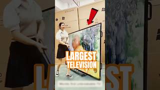 Download lagu Largest TV On Earth mp3 Download lagu Largest TV On Earth mp3
