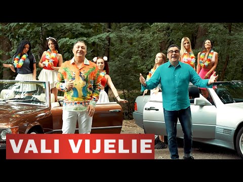 Vali Vijelie & Stelu Pandelescu - Hai iubito, hai (Oficial Video) 2025