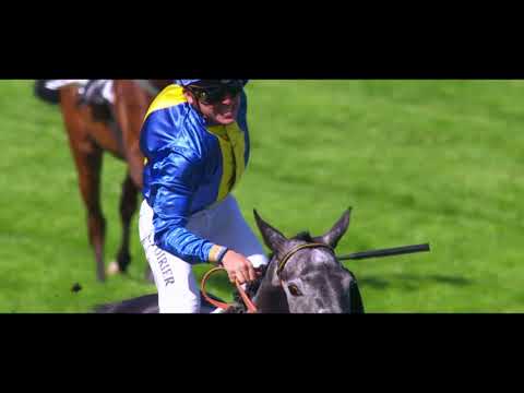 BANDE ANNONCE EPIQE DAYS - HIPPODROME D'AUTEUIL