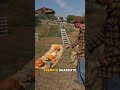 titolo video
