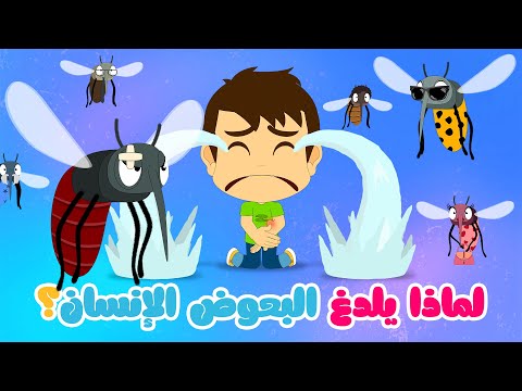 لماذا البعوض يلدغ الإنسان؟ | معلومات عن البعوض للأطفال - كيف ماذا ولماذا (الحلقة ١)