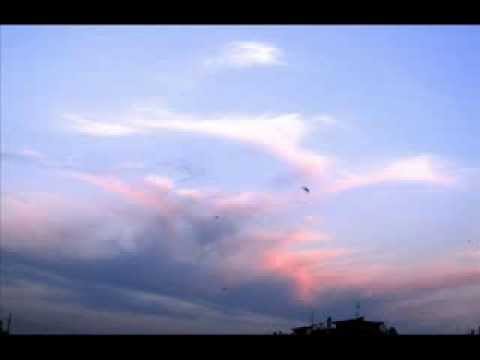 Th.Morley - La Rondinella