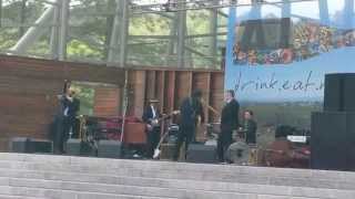 6 String Drag - Precious Things - Great Grapes Festival, Cary NC