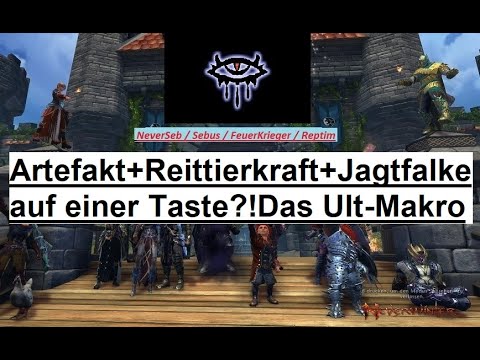 🦅Jagdfalke von Neverwinter!🦅 🦅Artefakt +Reittier +Jagdfalke auf eine Taste legen?🦅