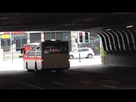 HI HR 1100 ex Rinder mit RegioBus Streifen