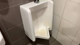 Bathroom tour: American Standard toilet and Urinal at Burger King Orange Ave