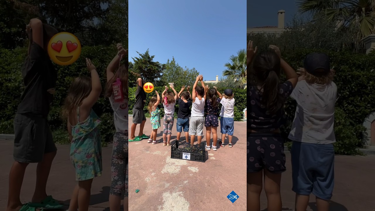 🍇 Η συγκομιδή των σταφυλιών