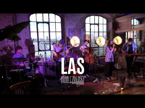 kilka czułości - Las (LIVE - lawendowy koncert premierowy)