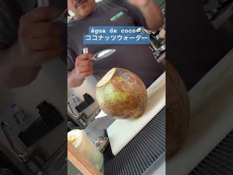 こども文化学科 #ココナッツウォーター 🥥 #brasil #ブラジル #piracicaba #festivaldejazzmanouche #saopaulo #サンパウロ #aguadecoco
