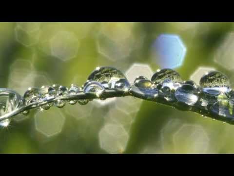 Amazing Spring video of morning frost, nature scenes with Llewellyn & Juliana relaxation music