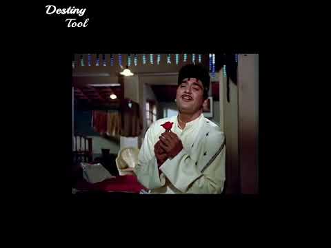 Happy Birthday Saira banu