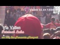 Lagu Terbaru Peternak Luka Via Vallen Bersama Om Sera Live Tamanria Magetan 2017