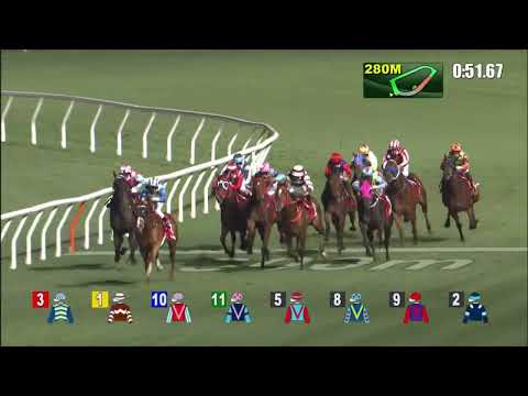 23/2/2022 (452) Majestic Star - K Teetan