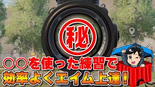 効率よく上達しよう！目からうろこのエイム練習法【PUBGモバイル】