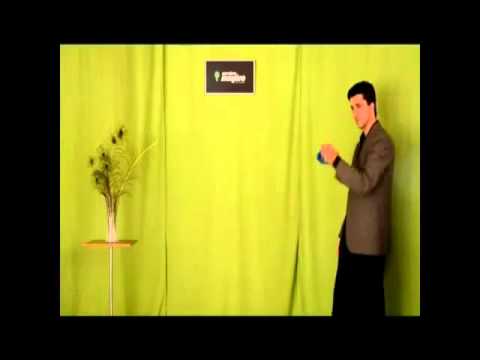 Reelectric by Cerebro - MAGICAMAIS