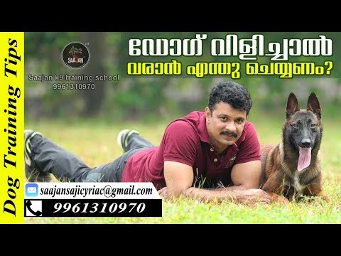 How to Teach Your Dog Come When Calling! Saajan K9 Dog Training School
