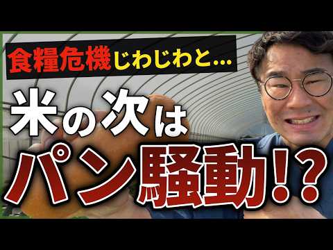 ミメトゥスについて詳しく解説