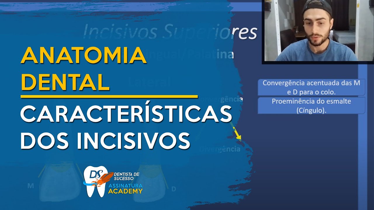 Características dos Incisivos | ANATOMIA DENTAL