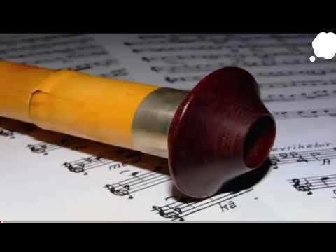 Celalettin Biçer | Ney Taksimi (HÜZZAM)