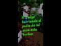 Mi Amigo Barriendo El Patio