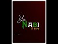 Ya Nabi Nabi Ya Nabi Nabi Sunni Status Shorts