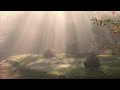 Bel Air Lana Del Rey Instrumental Slowed Interlude Long Version