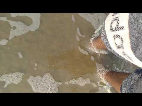 Chitti oh sathi oh sathi Digha Beach