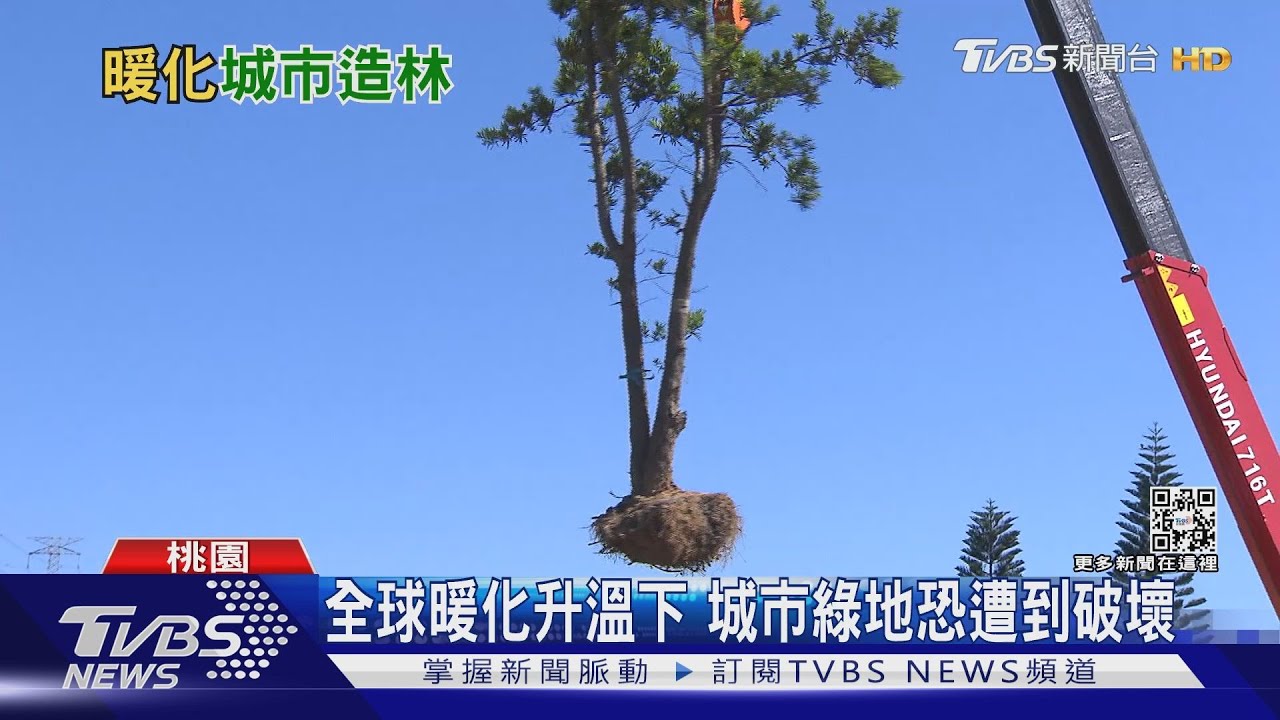 全球暖化下城市綠地恐遭破壞 荷蘭、德國引外來樹種因應氣候變遷