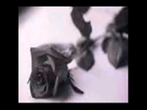 Lady Petya ft. TonyCash - You didn't say Goodbye