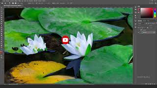 Clone Stamp Tool  - Klonlama Damga aracı nedir, nasıl kullanılır? (Photoshop) Ders 25