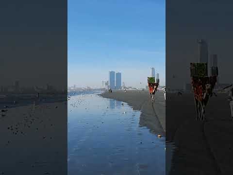 #nature #viral #shorts #sea #cute#imrankhan #pakistan #pti #peekaboo #viral