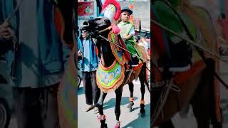 Download lagu Kuda renggong joget Joko Tingkir mp3