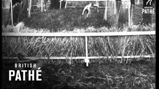 Speed Film  Reel 1 (1927)