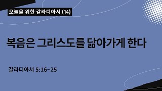 오늘을 위한 갈라디아서[14]