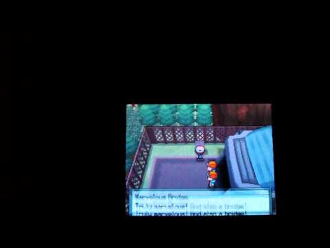 Pokemon Black Walkthrough Episode 48- Route 16 Training And The Lostlorn Forest