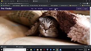 PetFinder - A Web App for Pet Adoption | Software Engineering Course