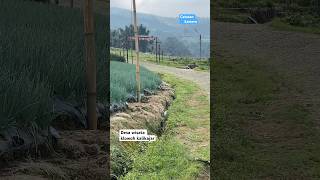 Download lagu Jalan keDesa wisata klowoh kalikajar  #shorts #shortvideo #reels #fyp #viralvideo mp3
