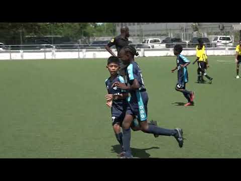 De Treffers 8 VS 1 De Dolfijn