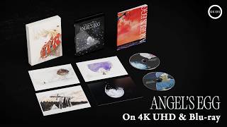 4K Collector's Edition First Look