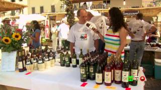 preview picture of video '43a Expo Chianti Classico - www.HTO.tv'