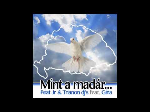 Peat jr & Trianon Dj's Feat. Gina - Mint a madár..(Dj Miklov Remix) by barnycy