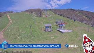 Shakey Knees - Mount Buller