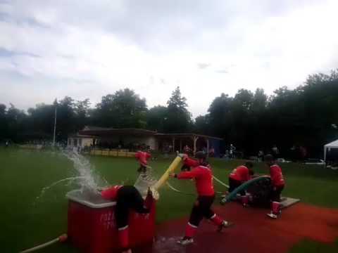 15.7. 2017. Pohárová súťaž Radošovce. (DHZ Skalica druhý pokus)