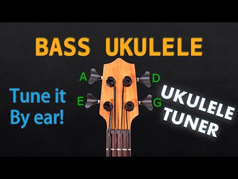 BASS Ukulele Tuning - UKEBASS Tuner