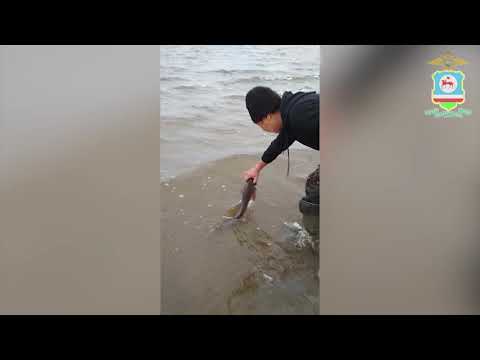 В Якутии задержали пятерых рыбаков-браконьеров